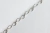 Collar Asteroidea