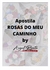 Apostila em PDF Rosas do meu caminho 1 da professora Angel Pintura em tecidos