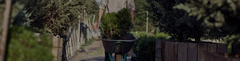 Banner de la categoría Plantas