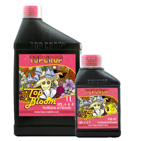 Top Crop Bloom