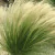Stipa en internet