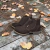 Botina Laredo Couro Nobuck Café - comprar online