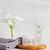 Kit Btox Orgânico + Shampoo Pré - Tratamento fios de Rainha® - Fios de Rainha