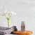Ampola de Hidratação 15ml - Fios de Rainha