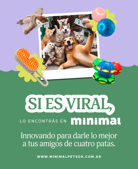 Carrusel 1