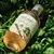 ROUND LAB Mugwort Calming Toner 300ml (Tônico) na internet