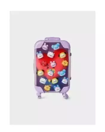 BTS Line Friends Collaboration Goods - Big & Tiny Mini Carrier Plush - buy online