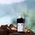 A24 Naturalism Rosemary & Mint Shampoo 500ml (Shampoo de Alecrim e Menta) - comprar online