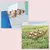Astro - Dream Part.02: 5th Mini Album - comprar online