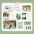 B1A4 2025 SEASON'S GREETINGS - PICNIC TIME - comprar online