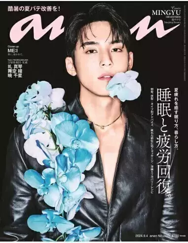 Magazine ANAN - SEVENTEEN MINGYU - comprar online