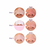 HOLIKA HOLIKA Pig Nose Clear Blackhead 3-Step Kit 10ea (Adesivo para Remover Cravos) - SDK STORE