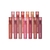 ETUDE Fixing Tint 4g (Batom)