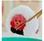 BT21 BUNSIK Goods - minini Plush Keyring - comprar online