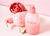 DAISO ON THE BODY Perfume Hand Wash 300ml #Lemon Verbena (Sabonete Líquido) na internet
