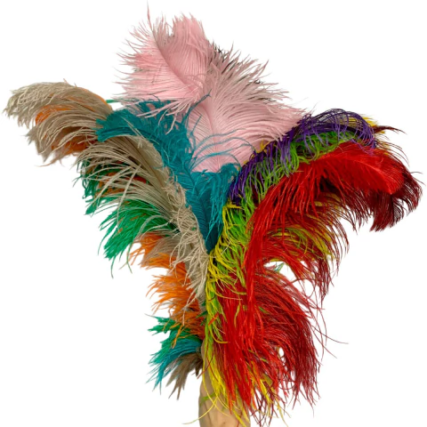 Pluma Extra Chorona P 25g - comprar online