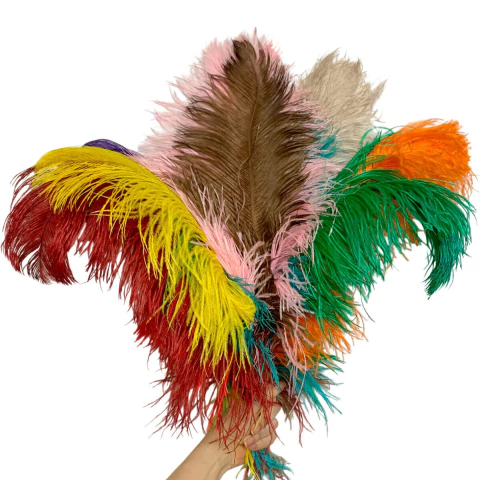 Pluma Extra Chorona PP 25g - comprar online