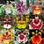 KIT COM 6 ORQUÍDEAS ONCIDIUM - ADULTAS