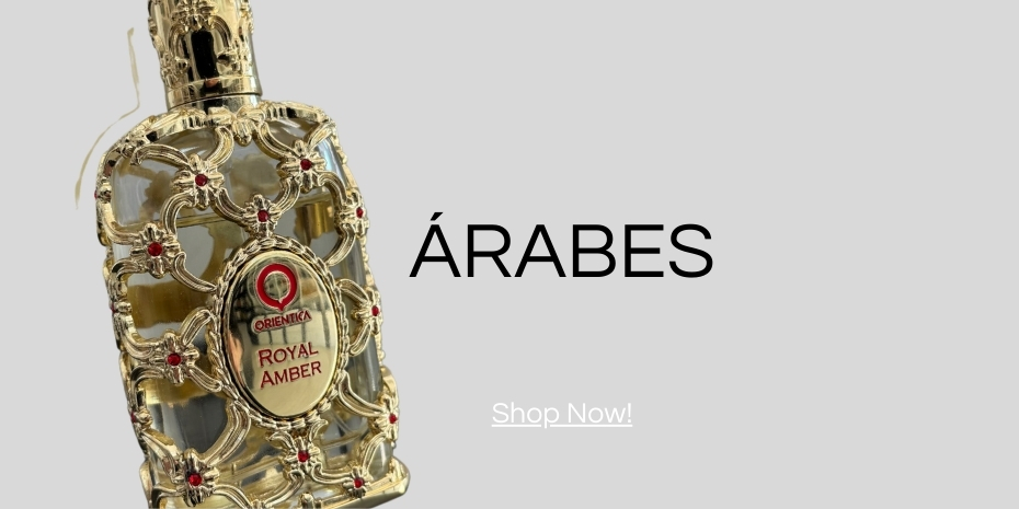 Banner de RG Imports | Perfumes Importados