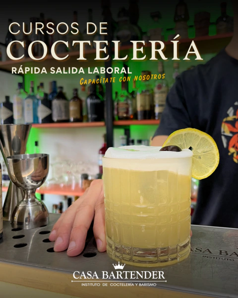 Curso Bartender Inicial