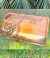 Tábua de Carne Personalizada de Futebol - Enikar Wood