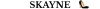 Banner CALZADOS SKAYNE