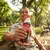 Coca-Cola Original 600 ml Pack x24 en internet