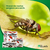 Kit 4 Unidades Mosquicida Poderoso Gel Kelldrin 10gr Mata Mosca Varejeira Isca para Mosquito Com Aplicador Uso Doméstico - comprar online