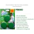 Tablete Vaso Sanitário Bloco Caixa Acoplada TRIPLO Cartela 3 Blocos Novo Frescor 45g - comprar online