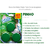 24 Cartelas Tablete Sanitário 45g com 3 Blocos CAIXA ACOPLADA TRIPLO Novo Frescor Kit 72 Un - loja online