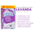 Kit 2 Unidades Pedra Sanitária 22G Detergente Novo Frescor Para Vaso Sanitário Privada