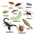 Kit 3 Unidades Kelldrin Sc 25 30ml Inseticida Concentrado Mata Escorpião Barata Aranhas Traças Pulgão Carapato Largatas - Pena Verde