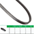 Correia Modelo AX25 Jasper Belt