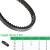 Correia Modelo 3VX530 Jasper Belt