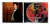 Cd Cliff Richard - Love... The Album (2007) - REMASTERIZADO TRILHAS & AFINS - comprar online