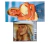 7 Cd's Coleção Xuxa Espanhol 1990 A 1999 - REMASTERIZADO TRILHAS & AFINS na internet