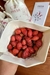Frutos de mosqueta