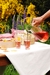 Combo PICNIC - tienda online