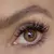 Lente com Grau para Miopia RUSSIAN BROWN - Lentes com grau