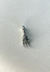 Charm R2-D2 - comprar online