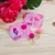 Kit Outubro Rosa Completo - loja online