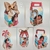 Moana 2 – Kit Festa Pronta