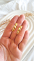 Aros Paprika gold en internet