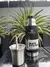 Termo Stanley Mate-System 0.8L en internet