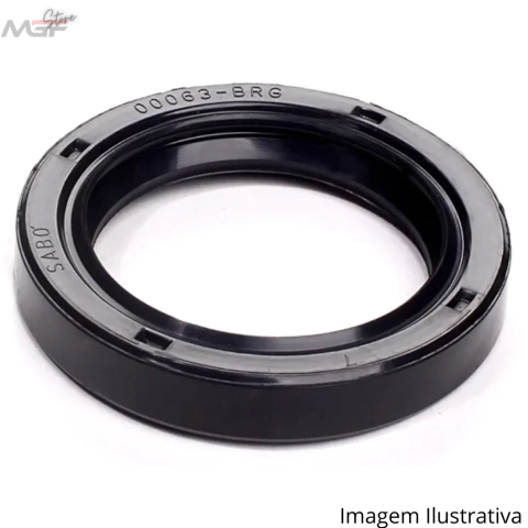 Retentor Ø 120X160X12 BRG DBH 9004