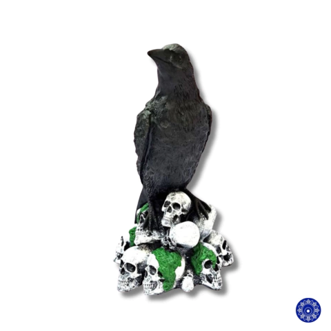 Enfeite de Resina Corvo Pousado Em Crânios