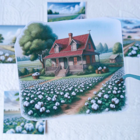 Kit Algodão - comprar online