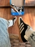 Adidas Samba OG couro legitimo - comprar online