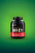 Proteína Gold Standard 100% Whey 5 LB - ON - tienda online
