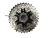 Piñon Ruta Shimano 105 Cs-r7101 12 V 11-34 - comprar online
